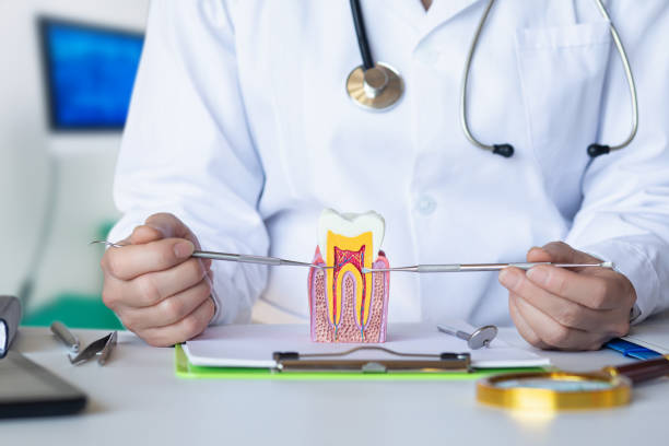Best Emergency Tooth Extraction in Oakbrook Terrace, IL
